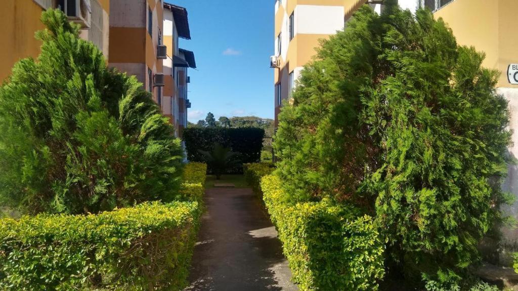 Luna Natureza Apartment