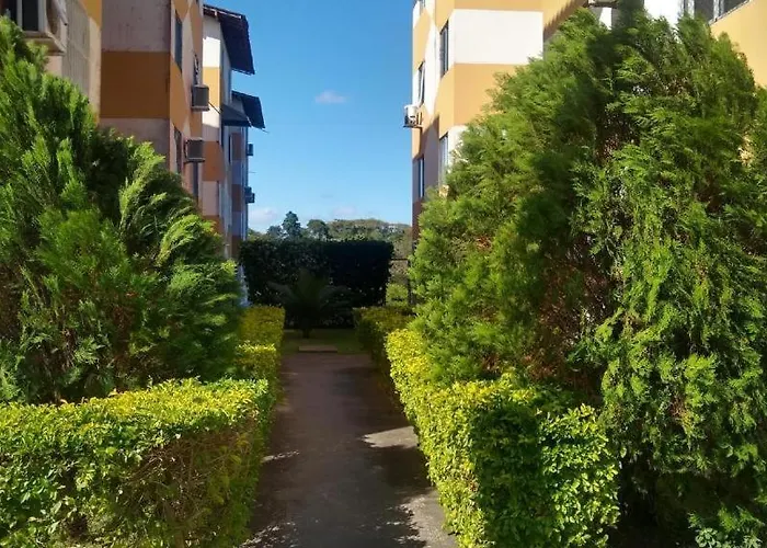 Luna Natureza